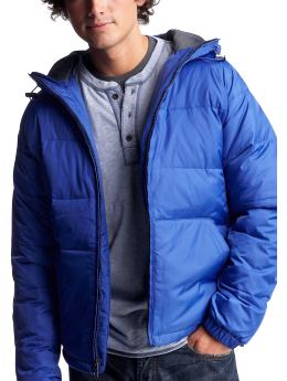 Men: Hooded puffer jacket - riviera