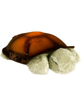 Turtle Gap Quilts