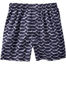 Dachshund boxers