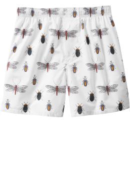 Insects boxers