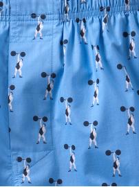 Weightlifter boxers