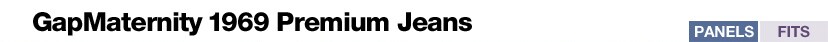 panel header