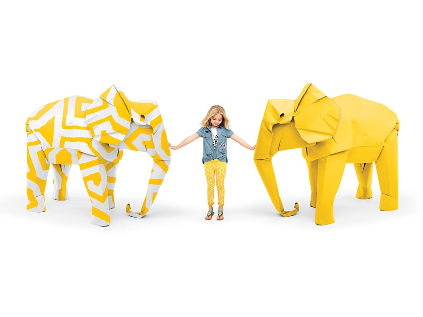 The limited Edition Explorers Collection