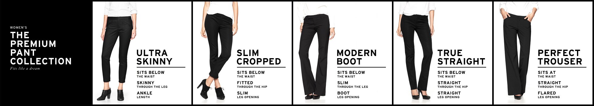 women's the premium pant collection. fits like a dream