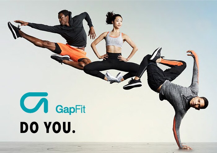 gapfit