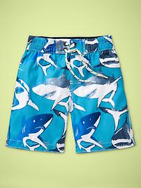 Shark swim trunks