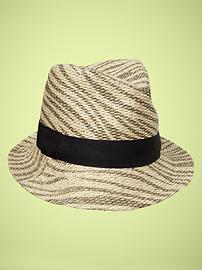 Zebra fedora