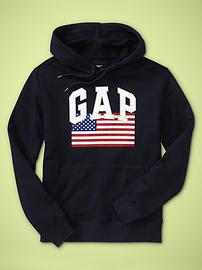 Arch logo flag hoodie