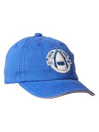 Shark baseball hat