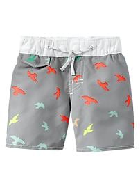 Fly swim trunks