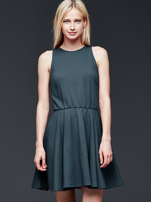 View large product image 1 of 1. Sleeveless fit & flare dress