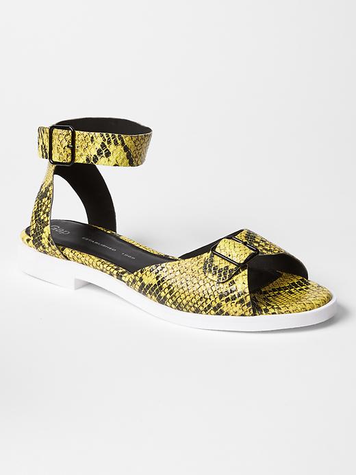 1 of 8 showing, with the color yellow snake of product Leather buckle sandals