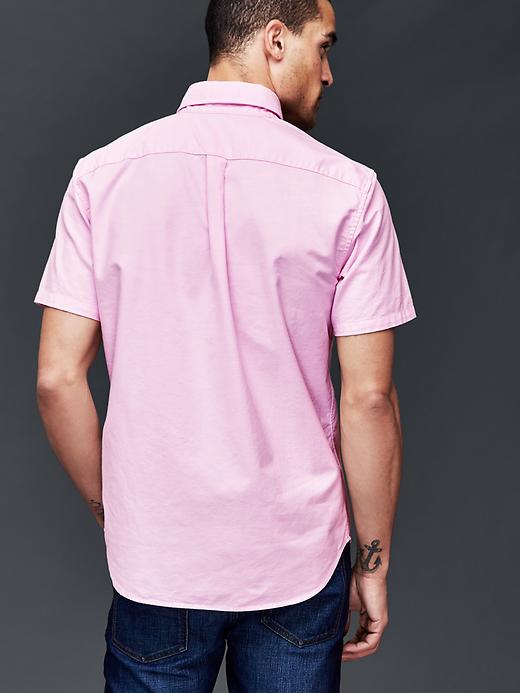2 of 8 showing, with the color primrose pink of product Oxford short sleeve standard fit shirt