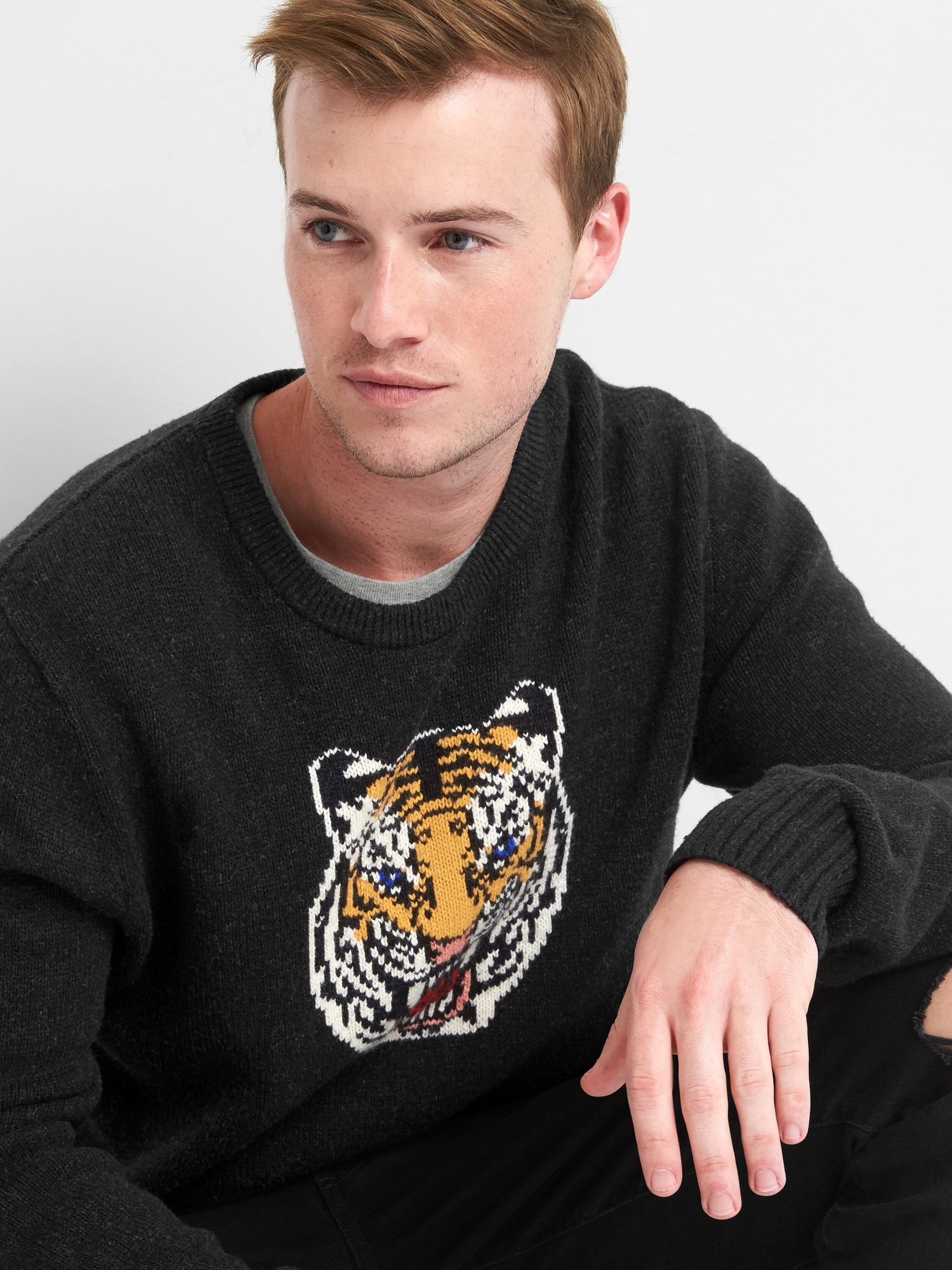 Animal intarsia merino crewneck sweater Gap