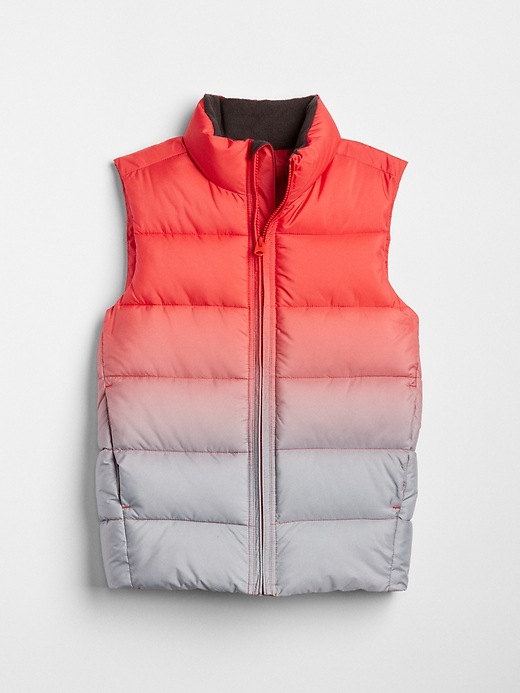 Image number 1 showing, ColdControl Max Ombre Puffer Vest