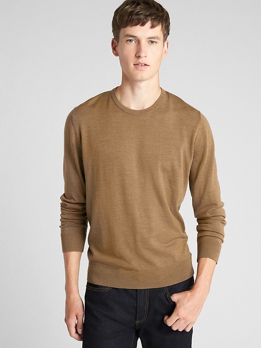 View large product image 1 of 1. Crewneck Pullover Sweater in Pure Merino Wool