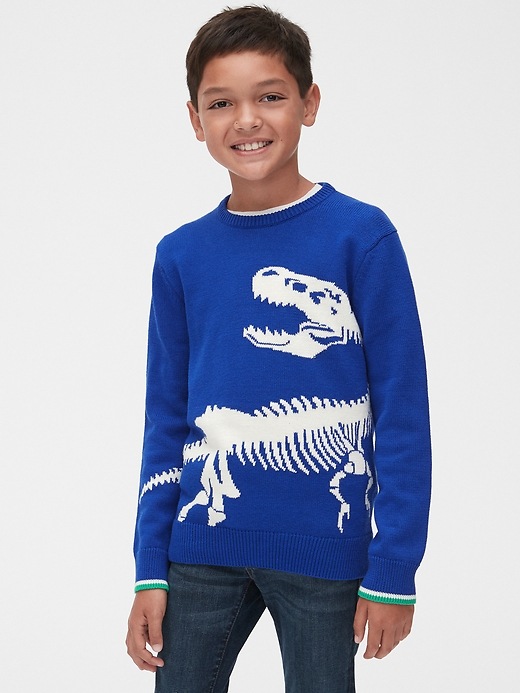 Graphic Pullover Sweater Gap