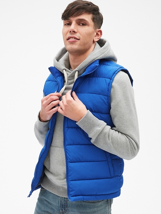 View large product image 1 of 1. Winter Warm Puffer Vest