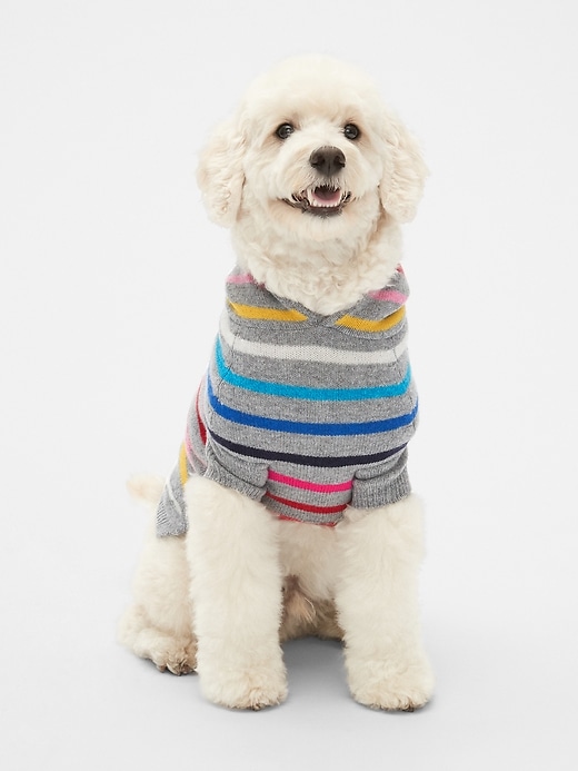 1 of 8 showing, with the color heather grey of product Crazy Stripe Dog Sweater Hoodie