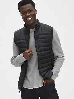gap shiny puffer