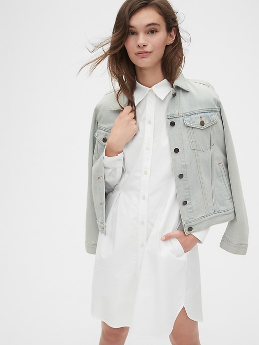 Image number 5 showing, Pleated Oxford Shirtdress