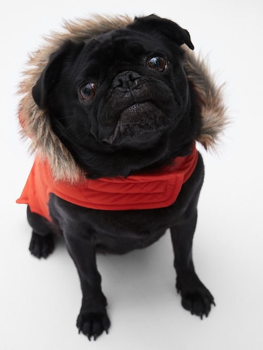 Image number 4 showing, Dog Down Puffer Jacket