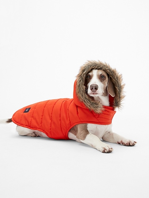 Image number 2 showing, Dog Down Puffer Jacket