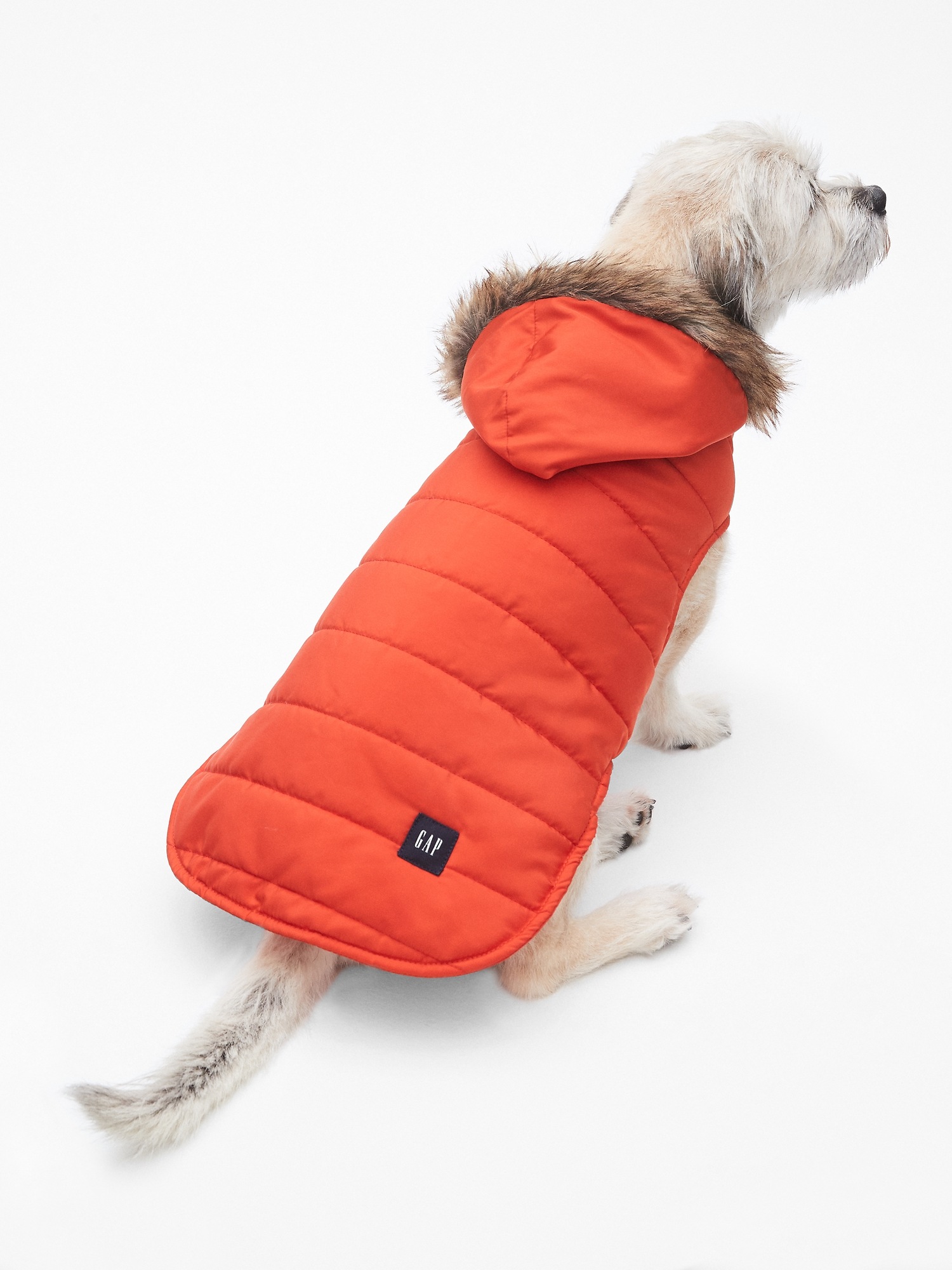 Gap dog jacket cheap