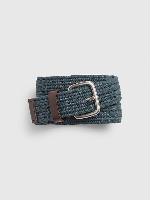 View large product image 1 of 1. Stretch Webbed Belt