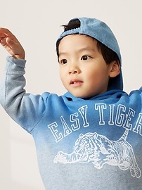 View large product image 4 of 4. Toddler Graphic Ombre Hoodie Sweatshirt