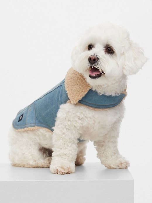 Image number 1 showing, Dog Denim Jacket