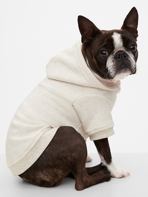 Adorable Boston terrier in a hoodie from Gap - Hello Lovely Studio. Come discover Fall Outfits, Eyewear, Florals, Recipes + Me Unfiltered.
