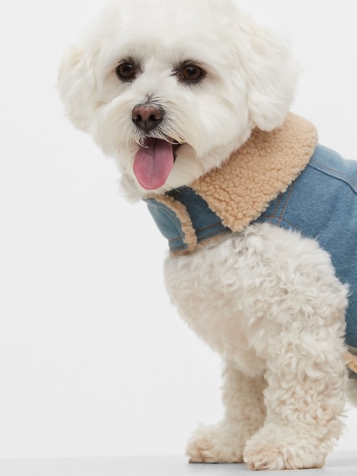 Image number 2 showing, Dog Denim Jacket