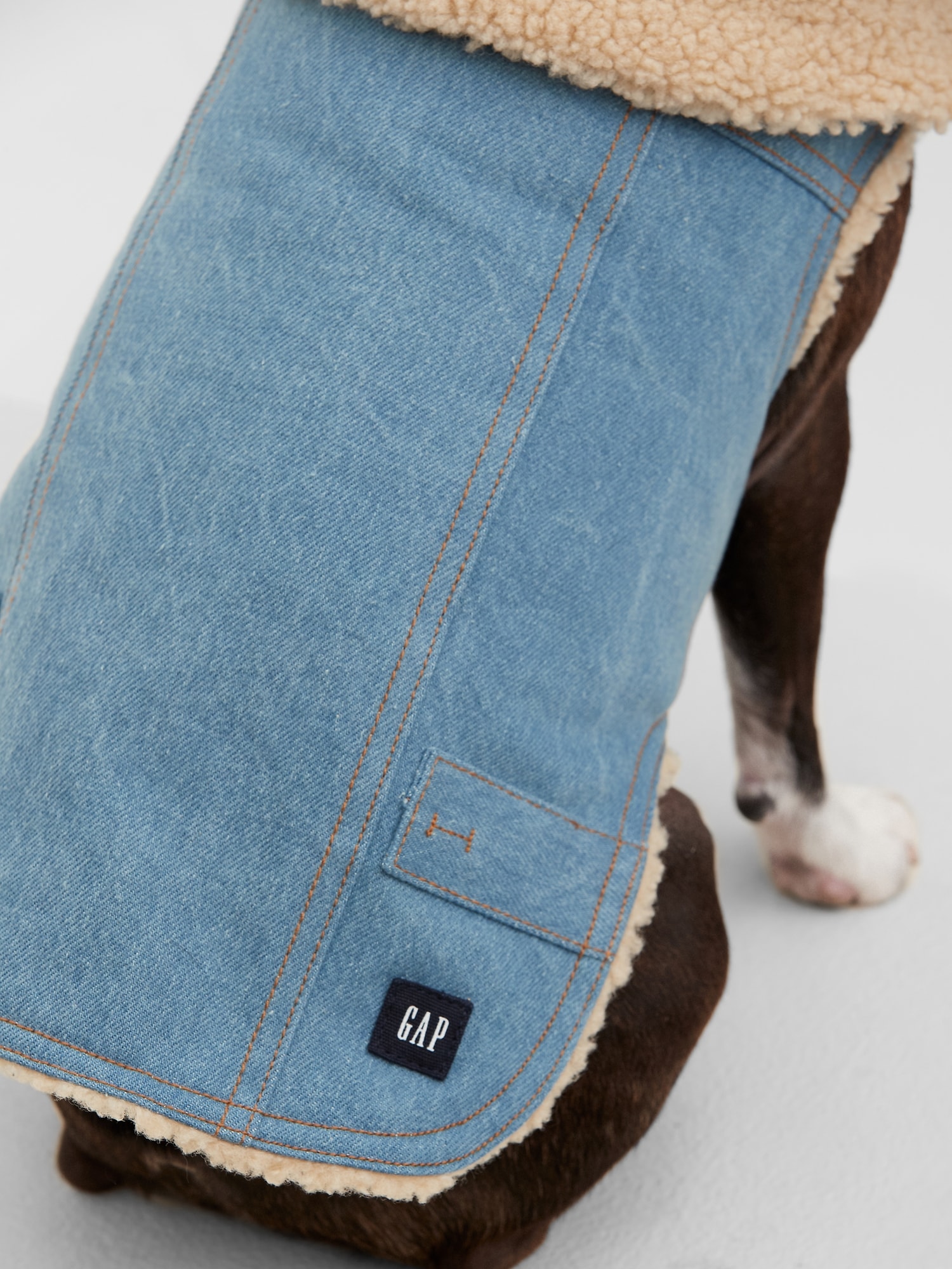 Dog Denim Jacket Gap