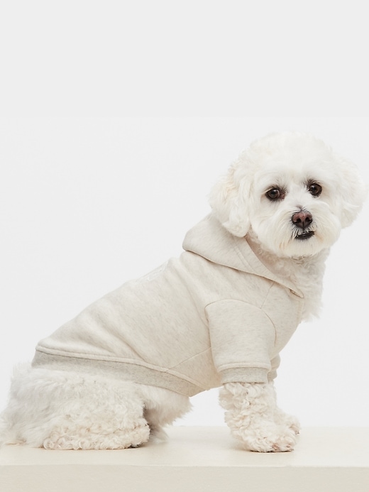 gap dog hoodie