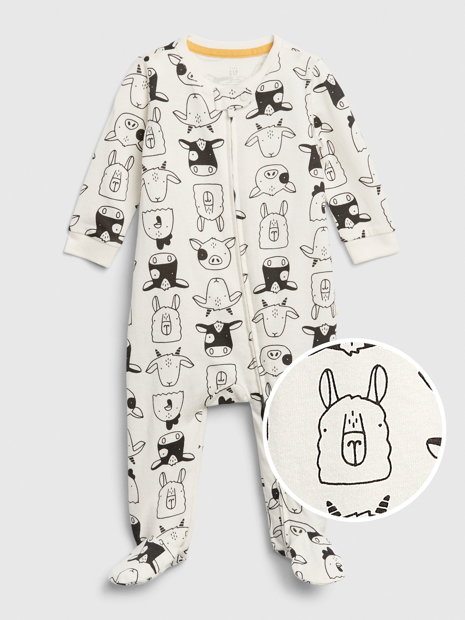 dream on me bassinet canada