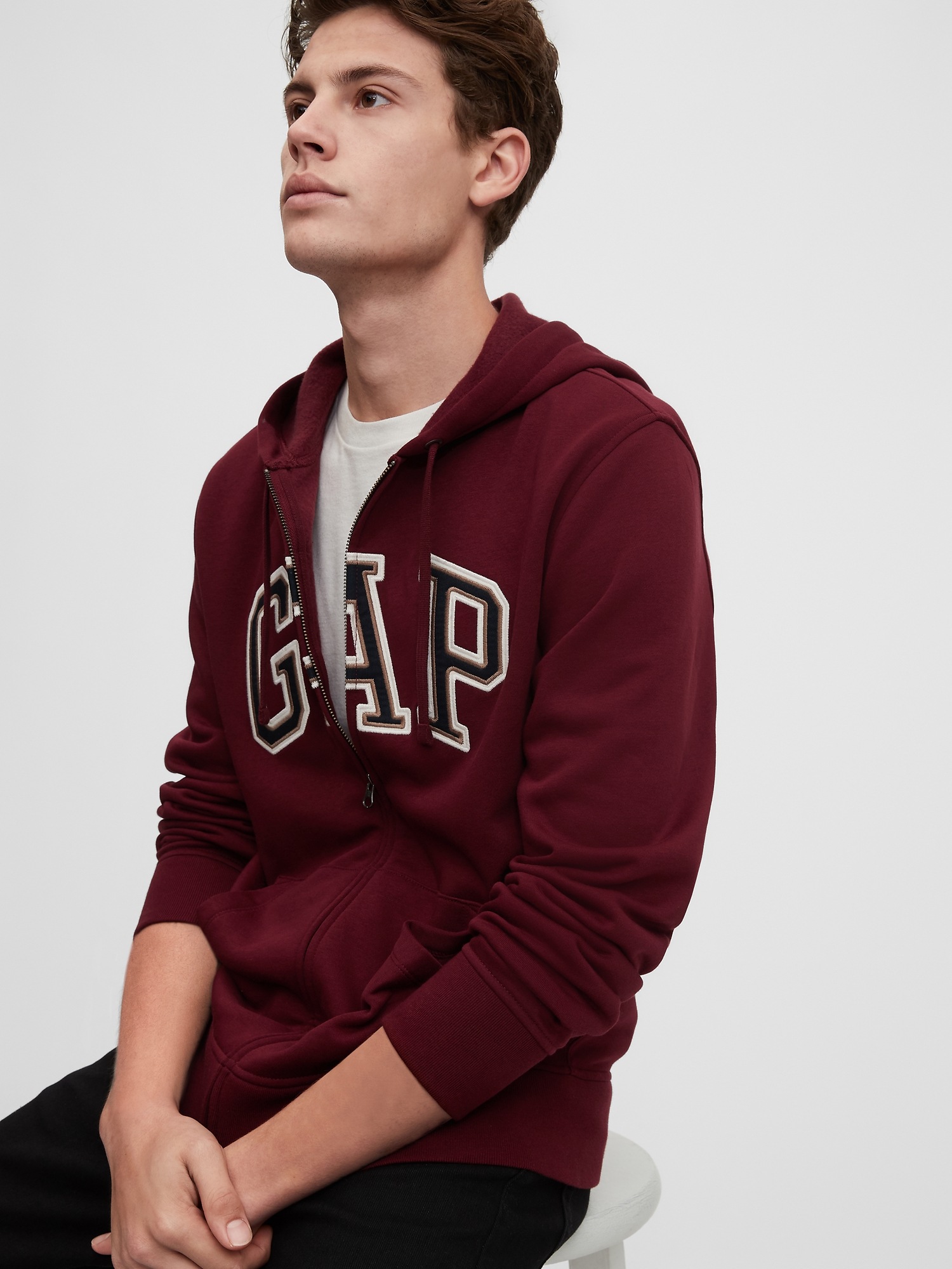 Gap Arch Logo Hoodie Gap