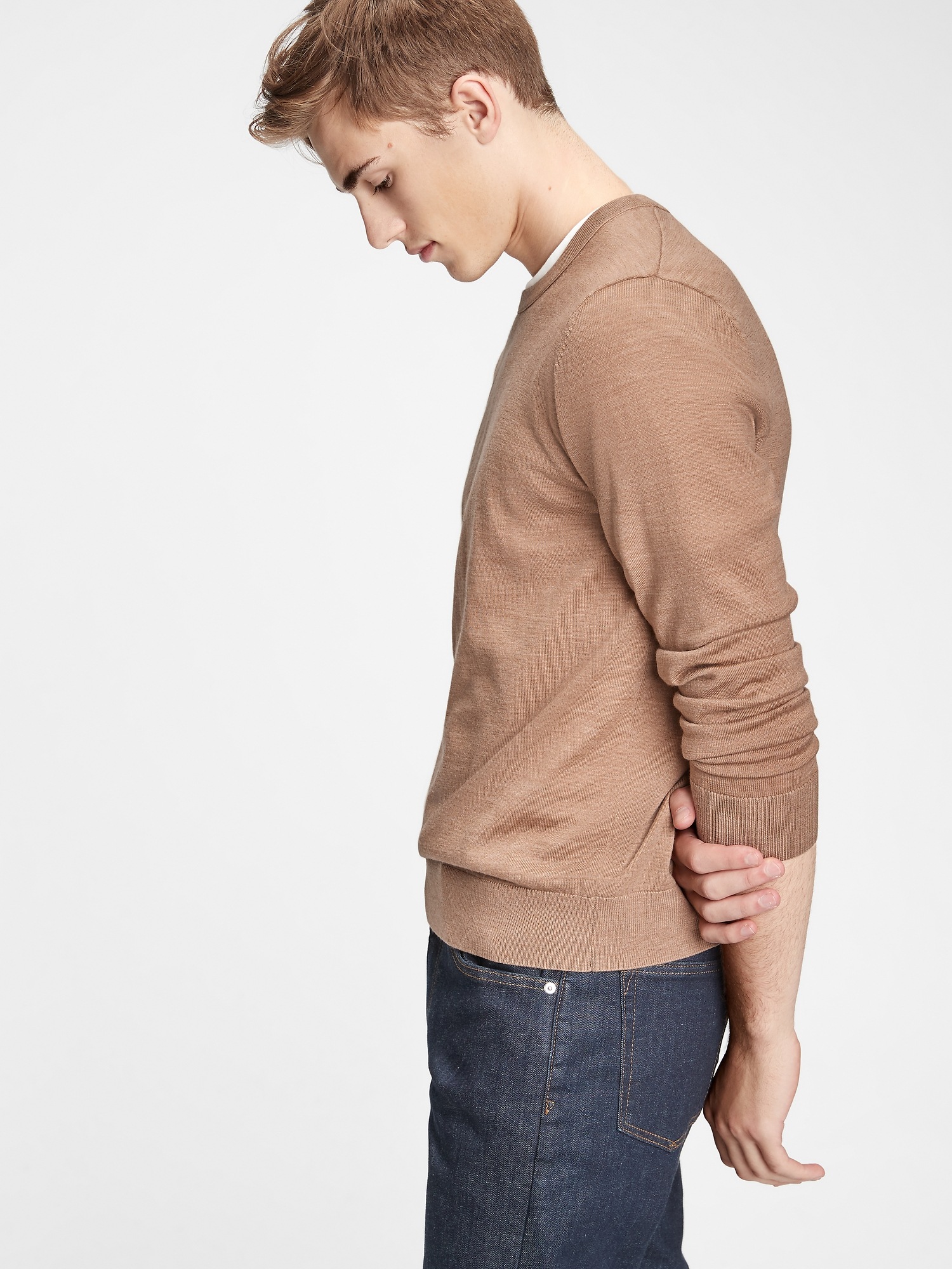 gap merino crewneck sweater