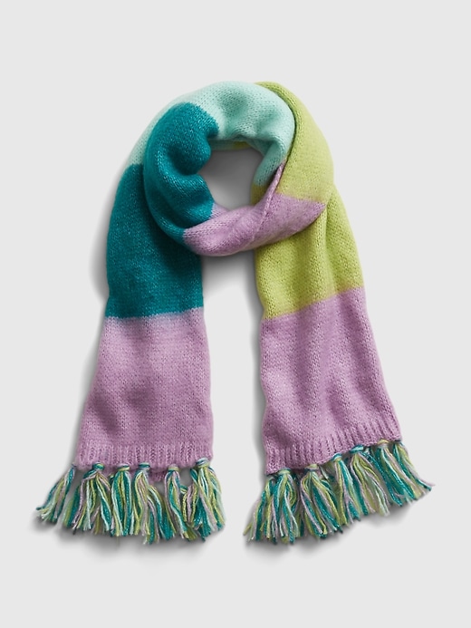 View large product image 1 of 2. Colorblock Scarf
