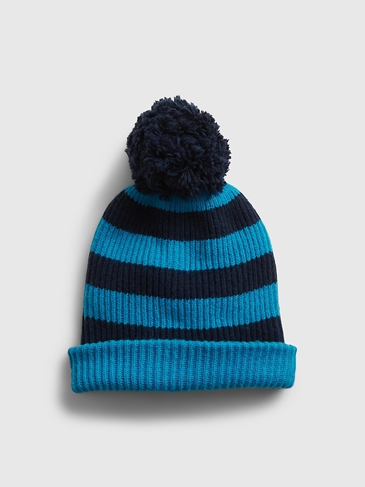 1 of 8 showing, with the color navy blue stripe of product Reversible Pom Beanie