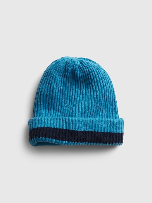 2 of 8 showing, with the color navy blue stripe of product Reversible Pom Beanie