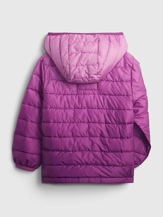 gap primaloft jacket