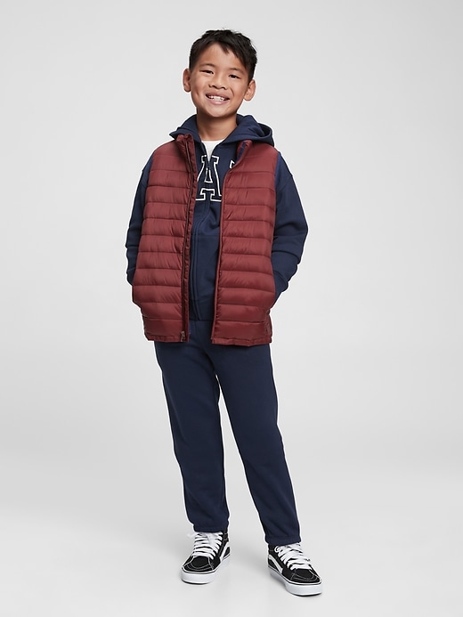 ColdControl Puffer Vest