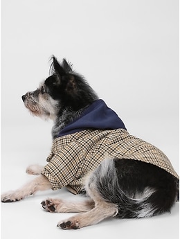gap dog clothes
