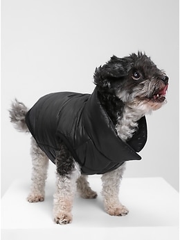puffy dog vest