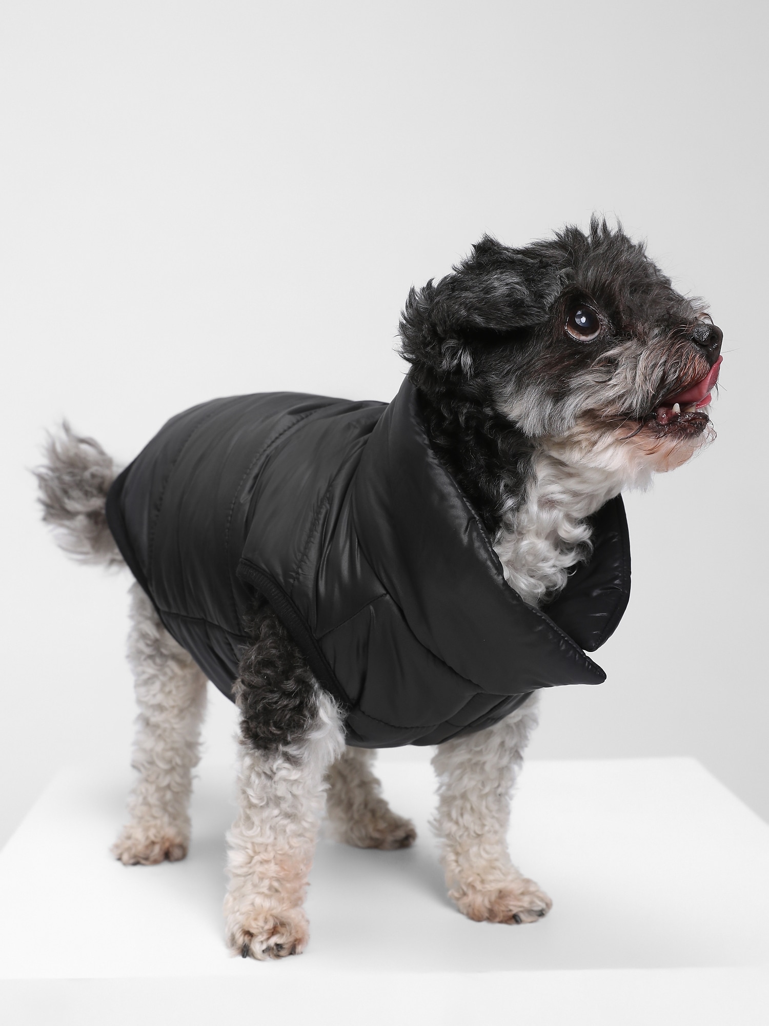 Dog Puffer Vest Gap