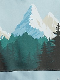 View large product image 3 of 3. Toddler Mountain Graphic Hoodie