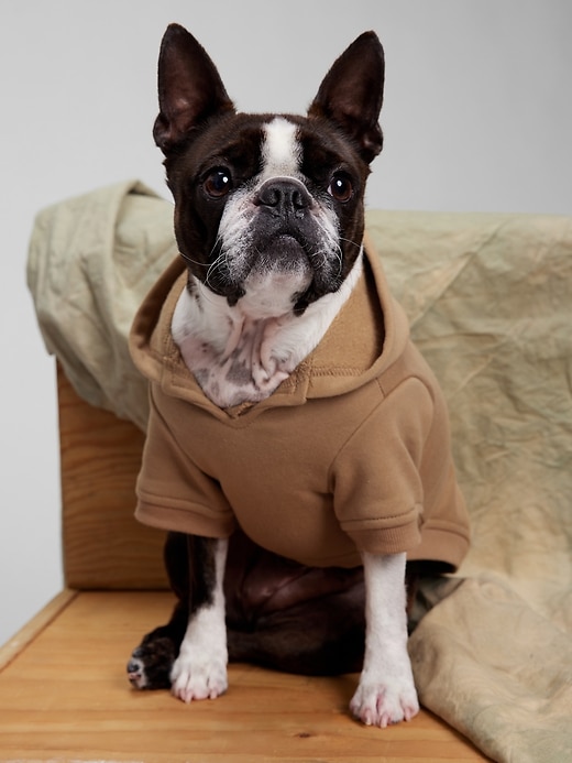 Image number 4 showing, Dog Gap Logo Hoodie