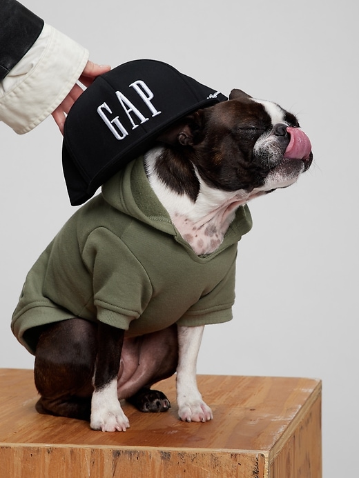 2 of 8 showing, with the color green of product Dog Gap Logo Hoodie
