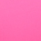 sizzling pink fuchsia